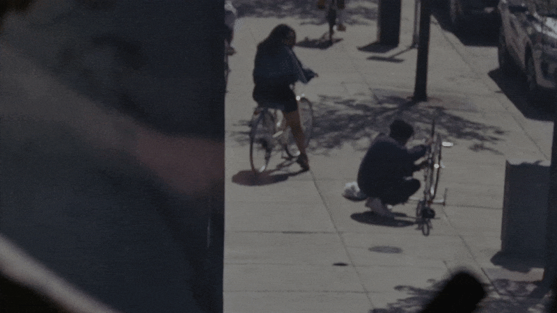 South Facing Windows